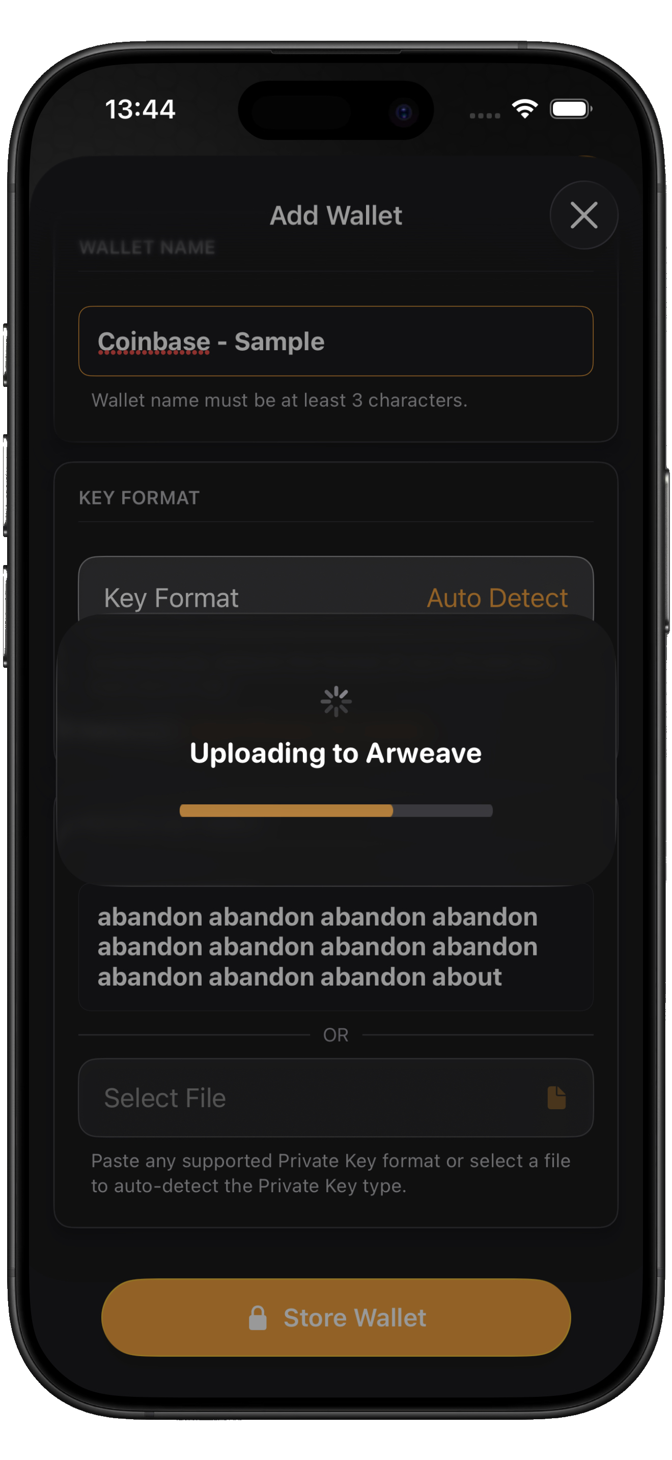 Q-Ledger Format Detection