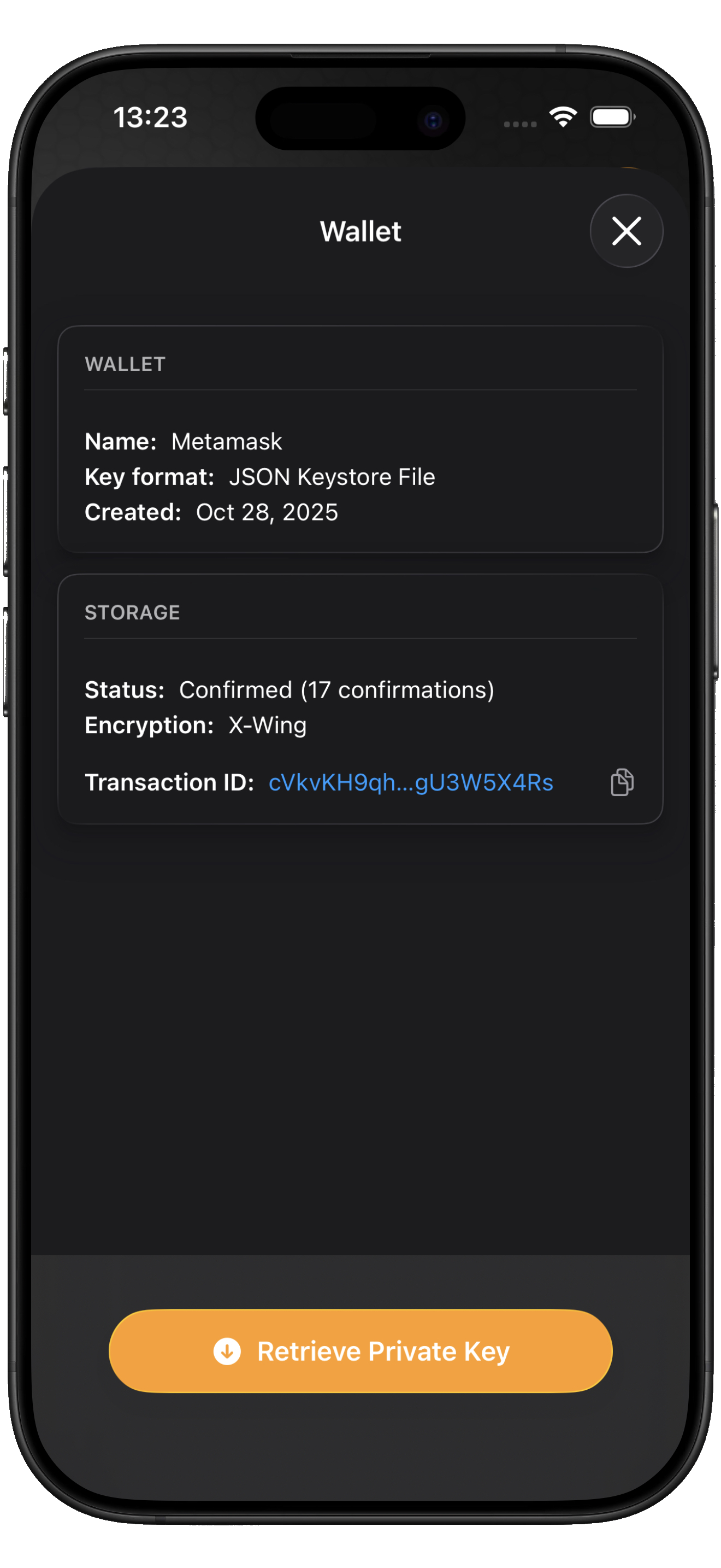 Q-Ledger Wallet Details